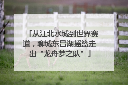 从江北水城到世界赛道，聊城东昌湖摇篮走出“龙舟梦之队”