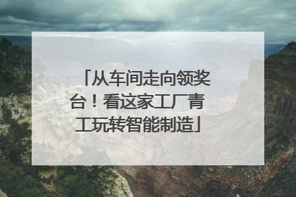 从车间走向领奖台！看这家工厂青工玩转智能制造