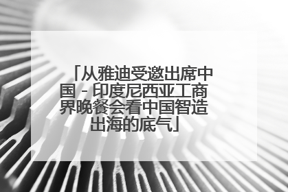 从雅迪受邀出席中国－印度尼西亚工商界晚餐会看中国智造出海的底气