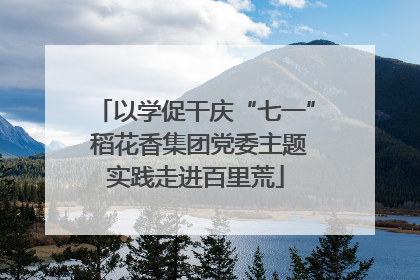 以学促干庆“七一” 稻花香集团党委主题实践走进百里荒