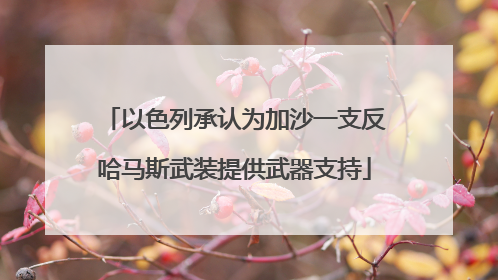 以色列承认为加沙一支反哈马斯武装提供武器支持