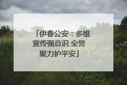 伊春公安：多维宣传强意识 全警聚力护平安