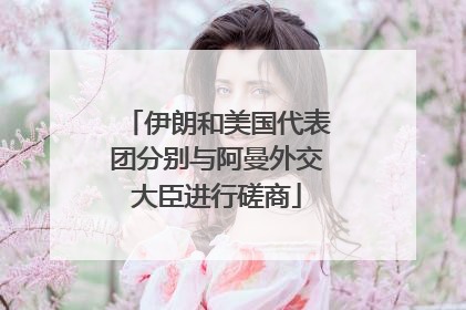 伊朗和美国代表团分别与阿曼外交大臣进行磋商