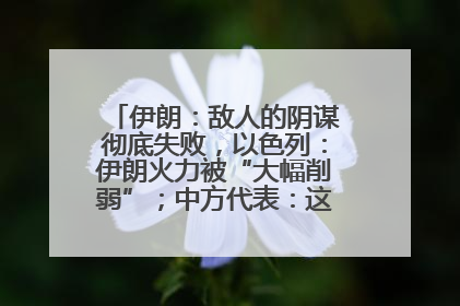 伊朗：敌人的阴谋彻底失败，以色列：伊朗火力被“大幅削弱”；中方代表：这次不能再有欺骗