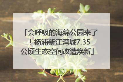 会呼吸的海绵公园来了！杨浦新江湾城7.35公顷生态空间改造焕新
