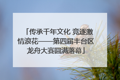 传承千年文化 竞逐激情浪花——第四届丰台区龙舟大赛圆满落幕