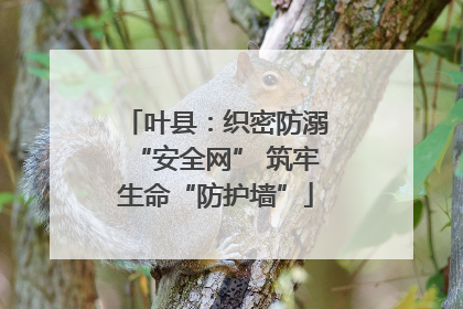 叶县：织密防溺“安全网” 筑牢生命“防护墙”