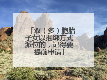 双(多)胞胎子女以捆绑方式派位的,记得要提前申请