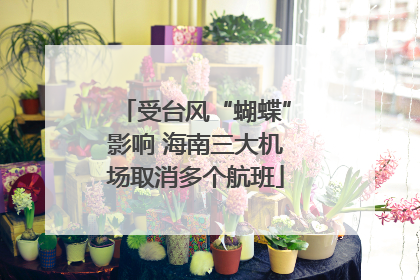 受台风“蝴蝶”影响 海南三大机场取消多个航班