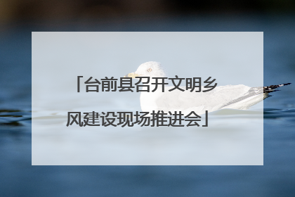 台前县召开文明乡风建设现场推进会
