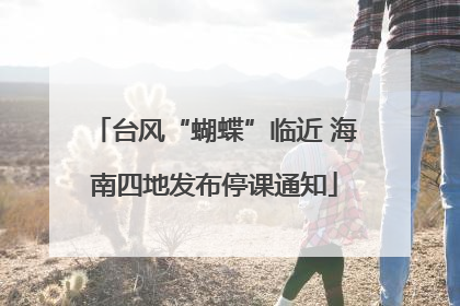 台风“蝴蝶”临近 海南四地发布停课通知