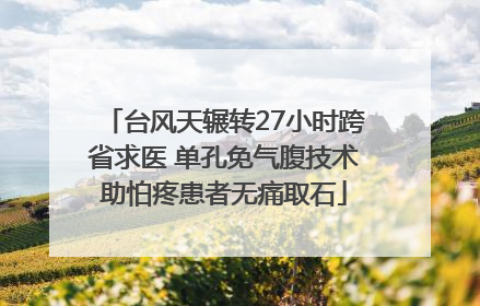 台风天辗转27小时跨省求医 单孔免气腹技术助怕疼患者无痛取石