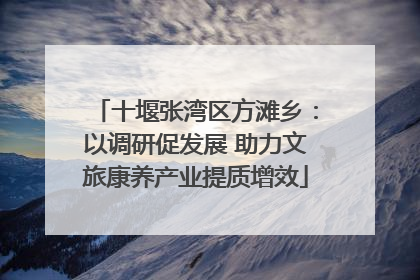 十堰张湾区方滩乡：以调研促发展 助力文旅康养产业提质增效