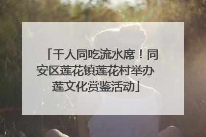 千人同吃流水席！同安区莲花镇莲花村举办莲文化赏鉴活动