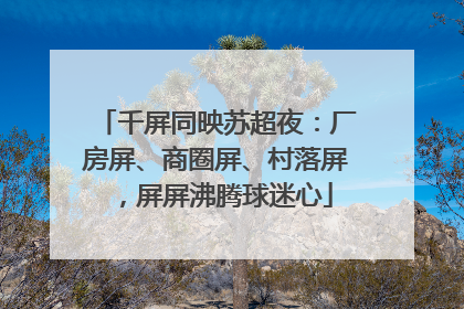 千屏同映苏超夜：厂房屏、商圈屏、村落屏，屏屏沸腾球迷心