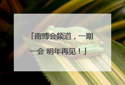 南博会频道，一期一会 明年再见！