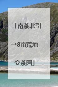 南茶北引→8亩荒地变茶园