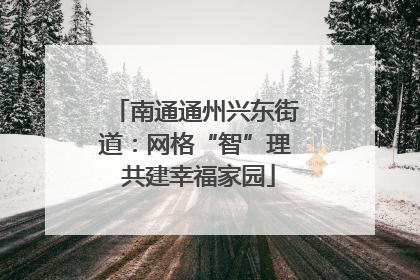 南通通州兴东街道：网格“智”理 共建幸福家园