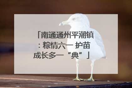 南通通州平潮镇：粽情六一 护苗成长多一“典”