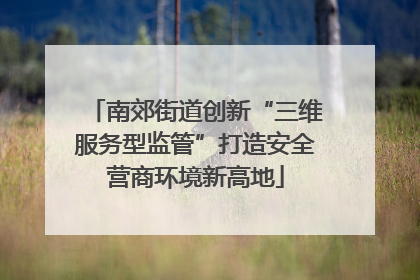 南郊街道创新“三维服务型监管”打造安全营商环境新高地