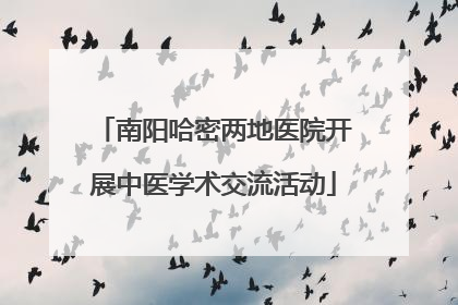 南阳哈密两地医院开展中医学术交流活动
