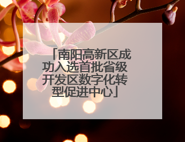 南阳高新区成功入选首批省级开发区数字化转型促进中心