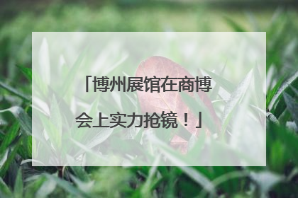 博州展馆在商博会上实力抢镜！