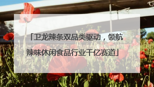 卫龙辣条双品类驱动，领航辣味休闲食品行业千亿赛道