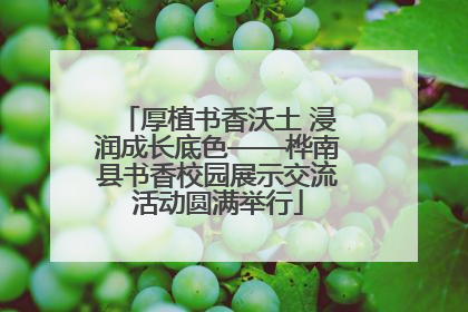 厚植书香沃土 浸润成长底色——桦南县书香校园展示交流活动圆满举行