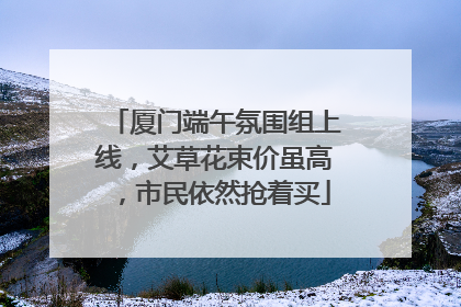 厦门端午氛围组上线，艾草花束价虽高，市民依然抢着买
