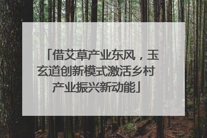 借艾草产业东风，玉玄道创新模式激活乡村产业振兴新动能