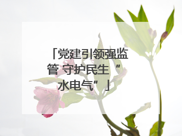 党建引领强监管 守护民生“水电气”