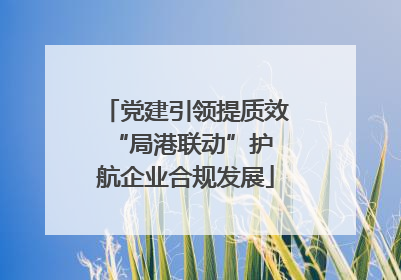 党建引领提质效 “局港联动”护航企业合规发展