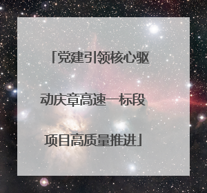 党建引领核心驱动庆章高速一标段项目高质量推进
