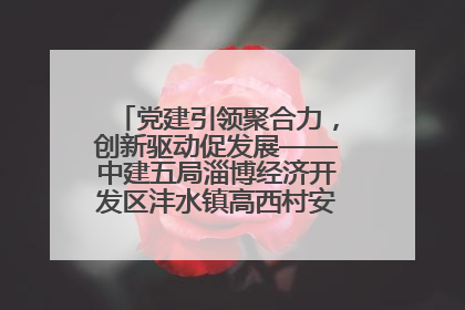 党建引领聚合力，创新驱动促发展——中建五局淄博经济开发区沣水镇高西村安置项目建设纪实