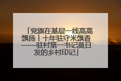 党旗在基层一线高高飘扬丨十年驻守米飘香——驻村第一书记莫日发的乡村印记
