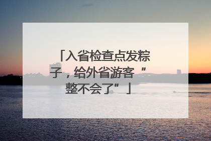入省检查点发粽子，给外省游客“整不会了”