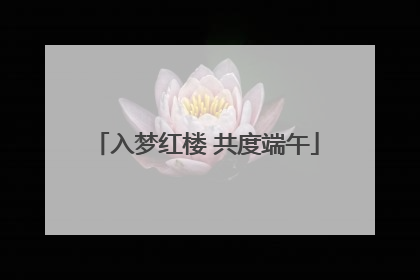 入梦红楼 共度端午