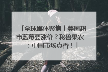 全球媒体聚焦丨美国超市蓝莓要涨价？秘鲁果农：中国市场真香！
