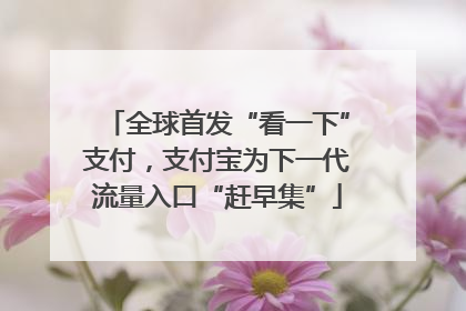 全球首发“看一下”支付，支付宝为下一代流量入口“赶早集”