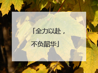 全力以赴，不负韶华