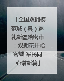 全国双拥模范城（县）巡礼新疆哈密市：双拥花开哈密城 军民同心谱新篇