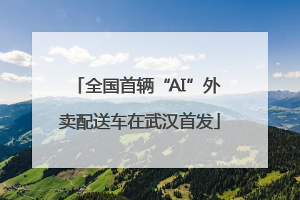 全国首辆“AI”外卖配送车在武汉首发