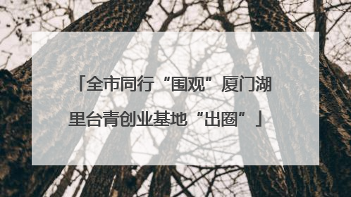 全市同行“围观”厦门湖里台青创业基地“出圈”