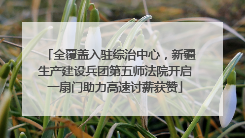 全覆盖入驻综治中心，新疆生产建设兵团第五师法院开启一扇门助力高速讨薪获赞