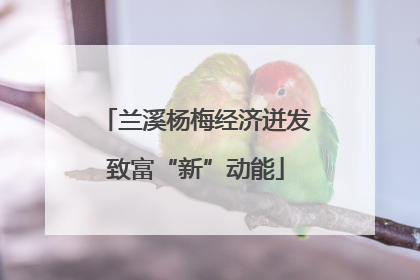 兰溪杨梅经济迸发致富“新”动能