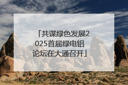 共谋绿色发展2025首届绿电铝论坛在大通召开