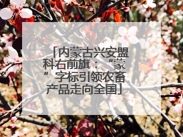 内蒙古兴安盟科右前旗：“蒙”字标引领农畜产品走向全国