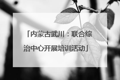 内蒙古武川：联合综治中心开展培训活动
