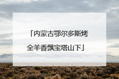 内蒙古鄂尔多斯烤全羊香飘宝塔山下